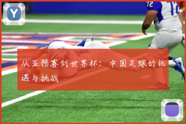 从亚预赛到世界杯：中国足球的机遇与挑战