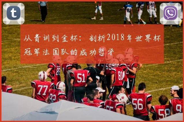 从青训到金杯：剖析2018年世界杯冠军法国队的成功哲学
